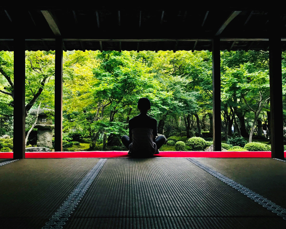 L'art de la contemplation : Voyage au cœur des jardins japonais