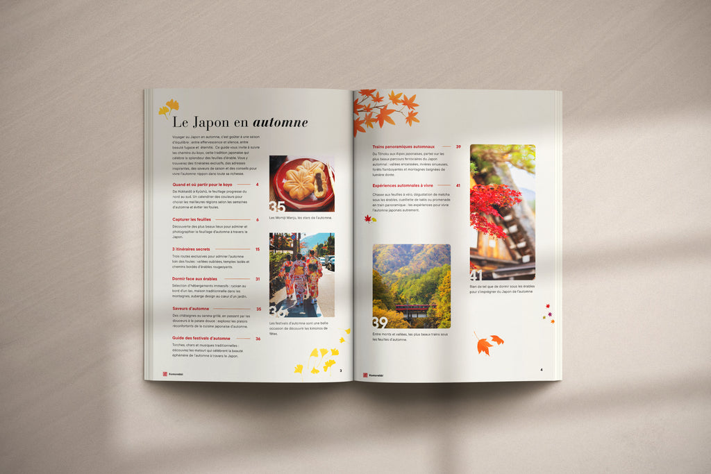 Sur la route des érables japonais