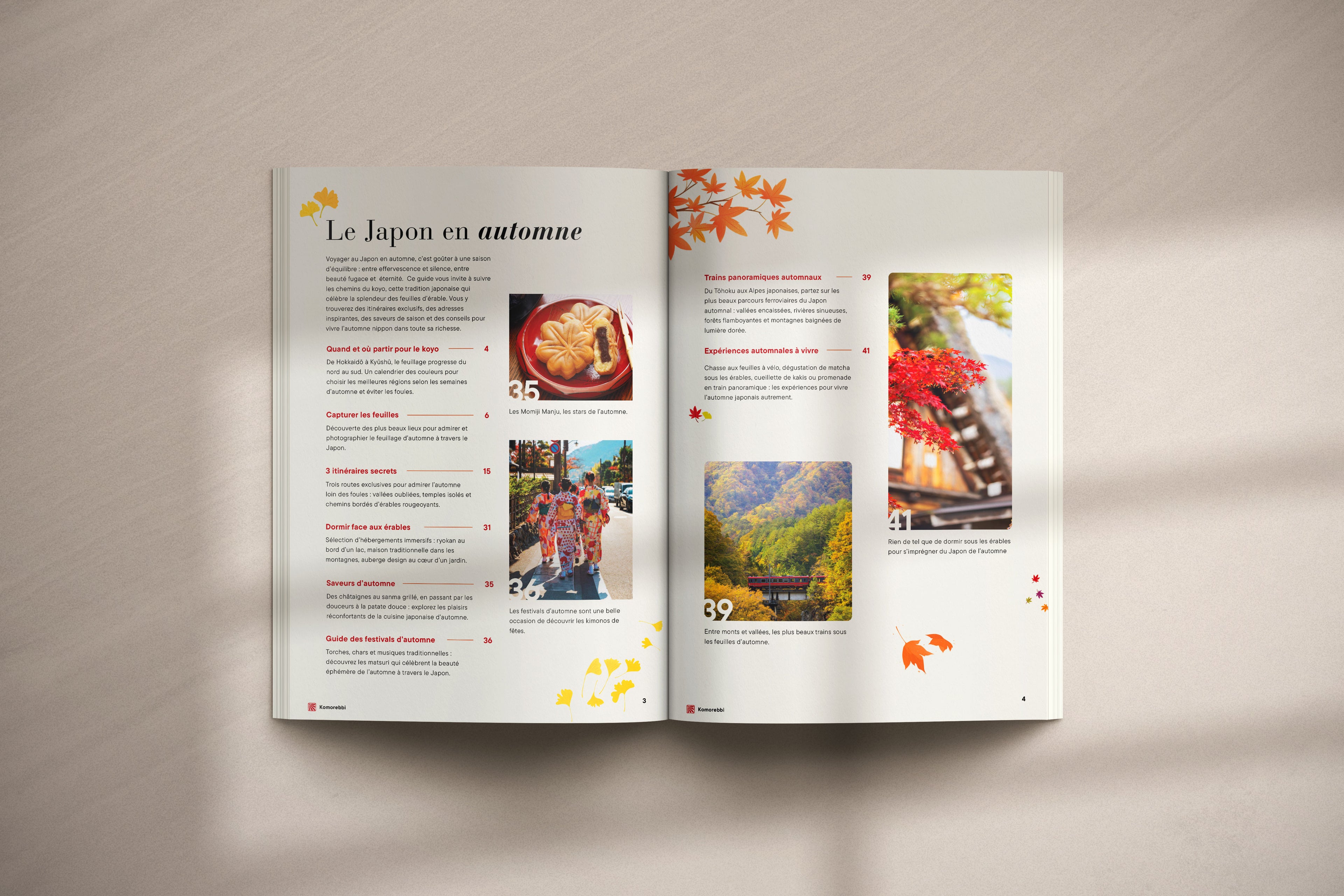 Sur la route des érables japonais