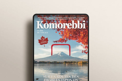 Sur la route des érables japonais